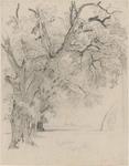 William Trost Richards - 並木、Interlachen